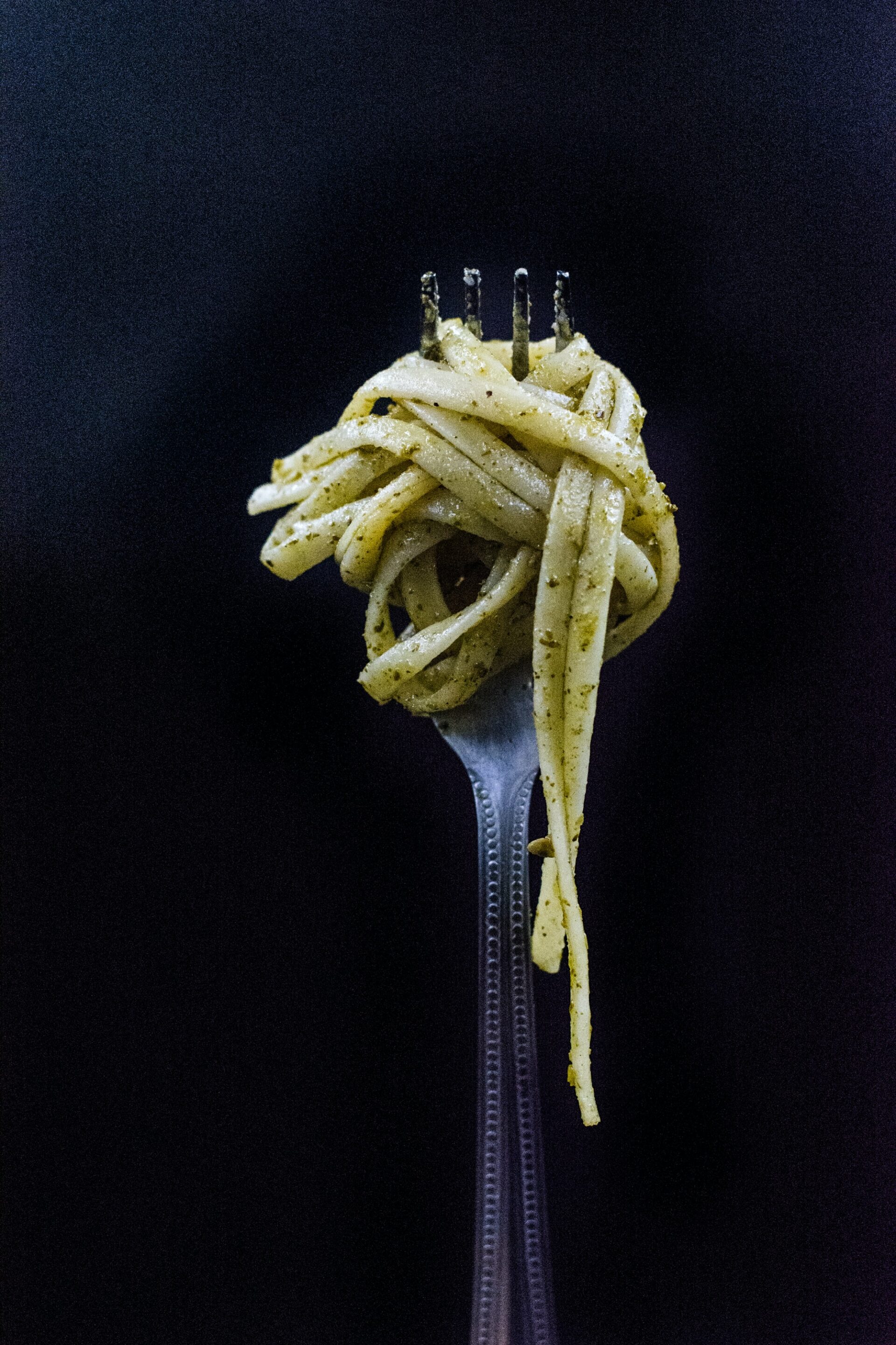 fettuccine on a fork from one of our meals at monte vista